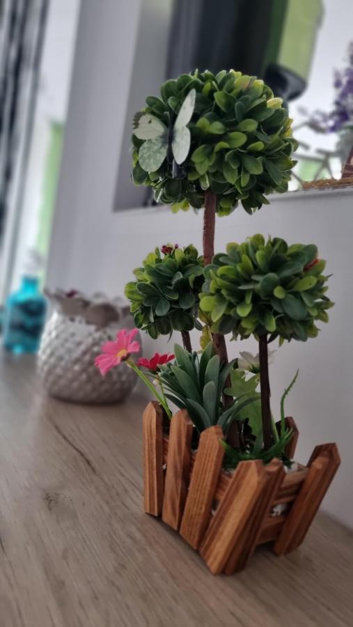 Apartament Daria Неводарі Екстер'єр фото